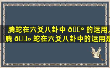 腾蛇在六爻八卦中 🐺 的运用,腾 🌻 蛇在六爻八卦中的运用是什么